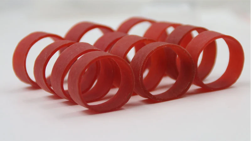 25x10mm Rubber Band