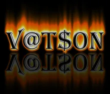 V***n
