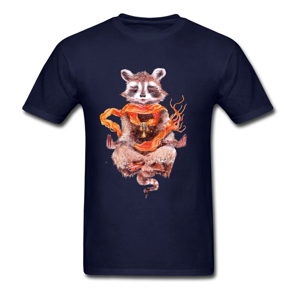 Raccoon meditates (female)_navy