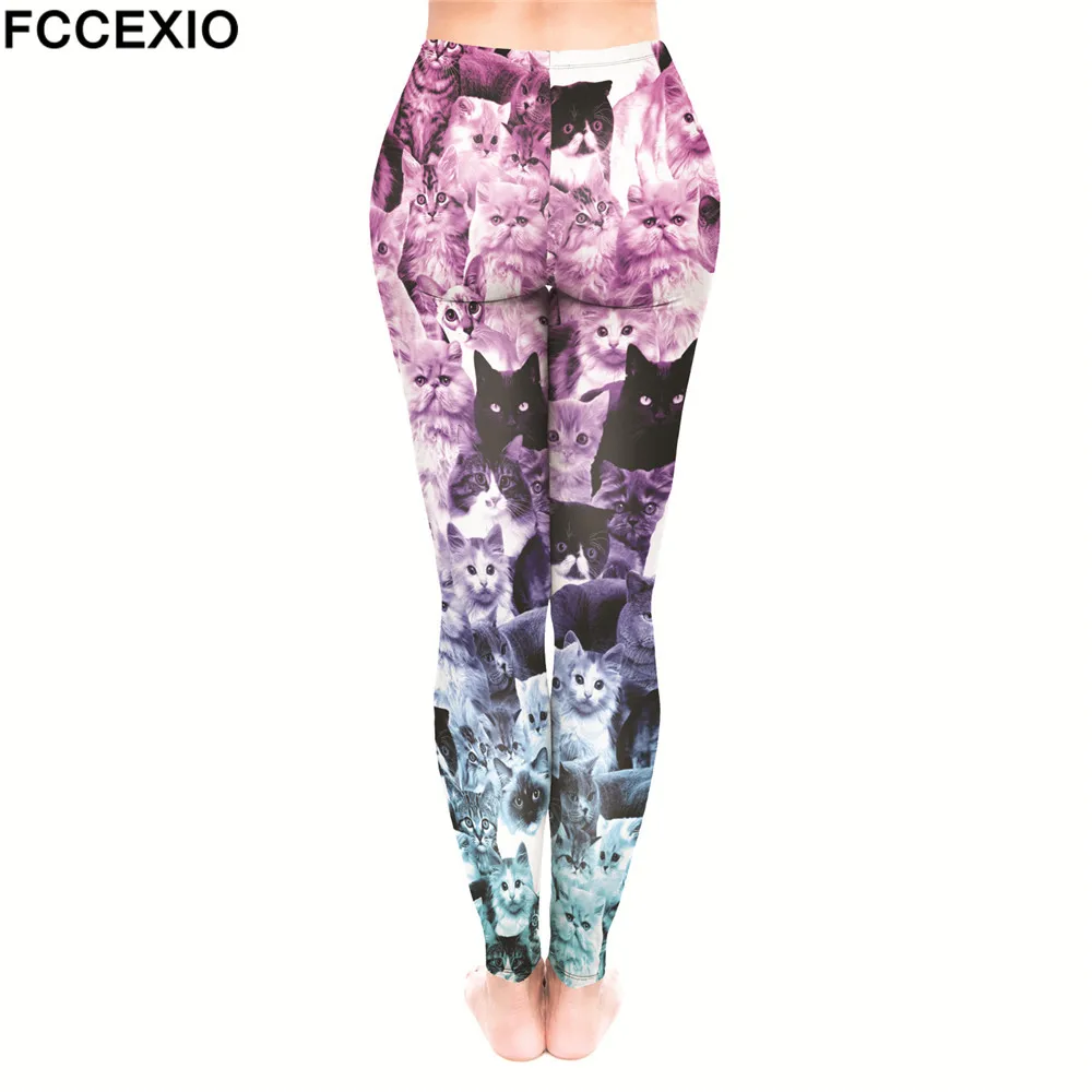 52176 CATS OMBRE PINK (2)