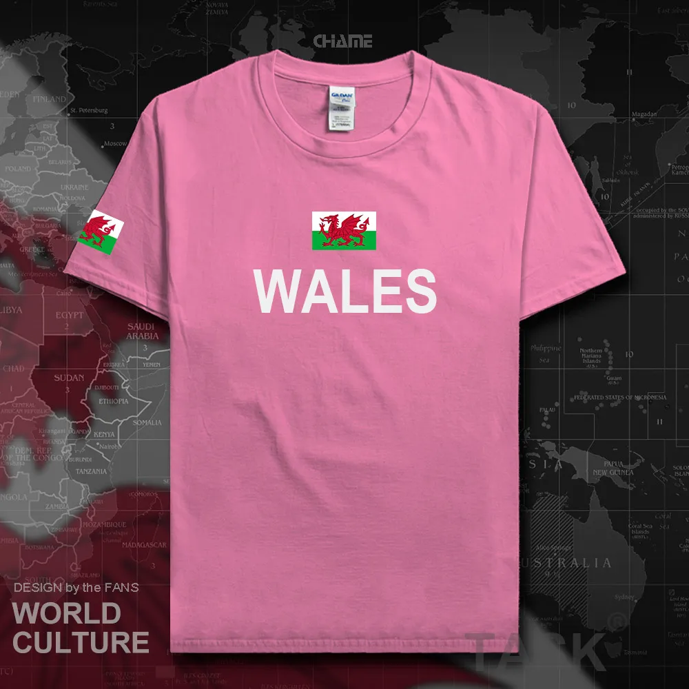 HNat_Wales01_T01azalea