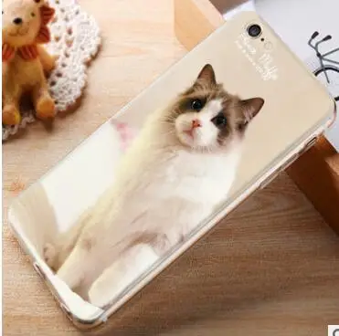QQ20180926143237