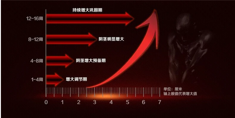 勃起不全のレビューのための波療法