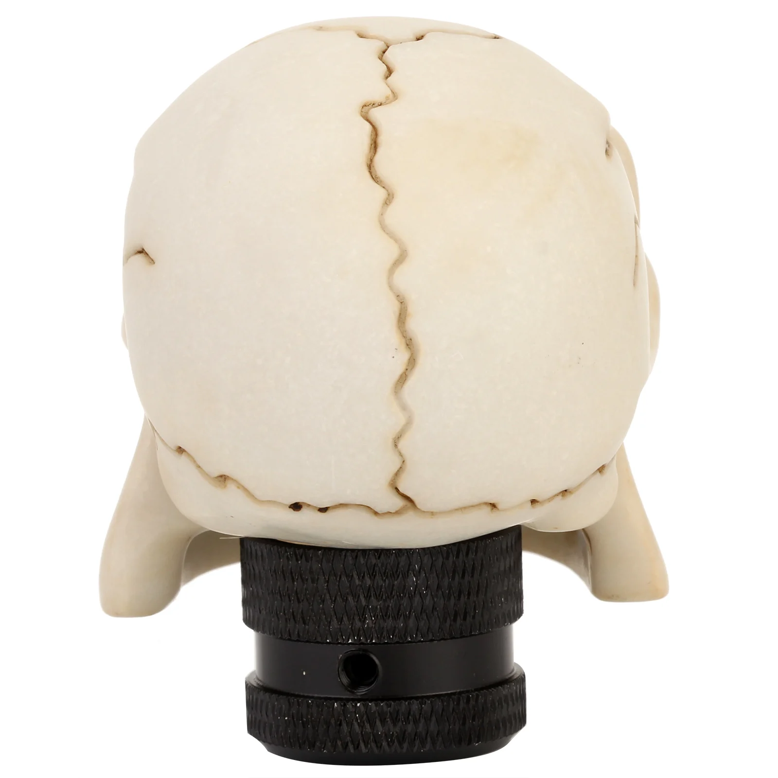 Neverland universal manual del coche Perilla del cambio de engranaje wicked tallada cráneo Shifter palanca Transmisión pomo palanca cambio Neverland universal manual del coche Perilla del cambio de engranaje wicked tallada cráneo Shifter palanca Transmisión pomo palanca cambio