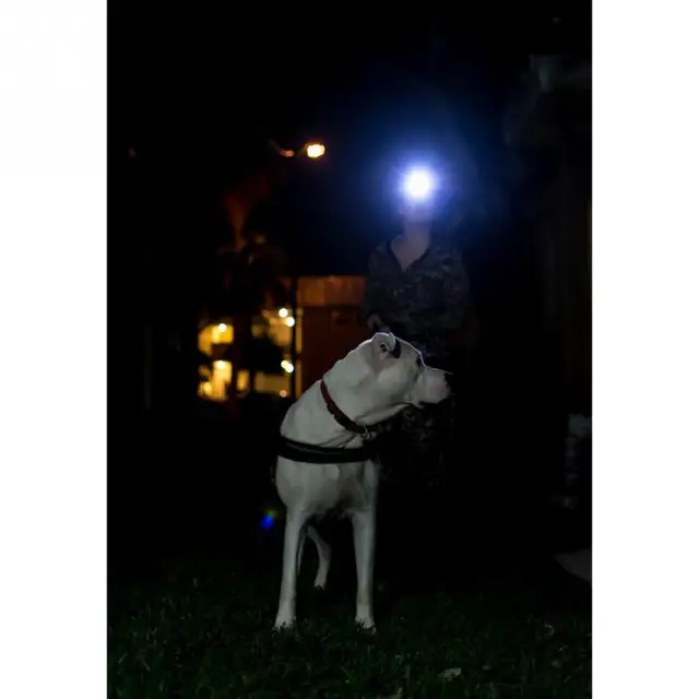 new High Quality 2 LED Red White Light  Mini Headlamp Outdoor Headlight Waterproof Head Lamp Lantern For Hunting Night Lightings