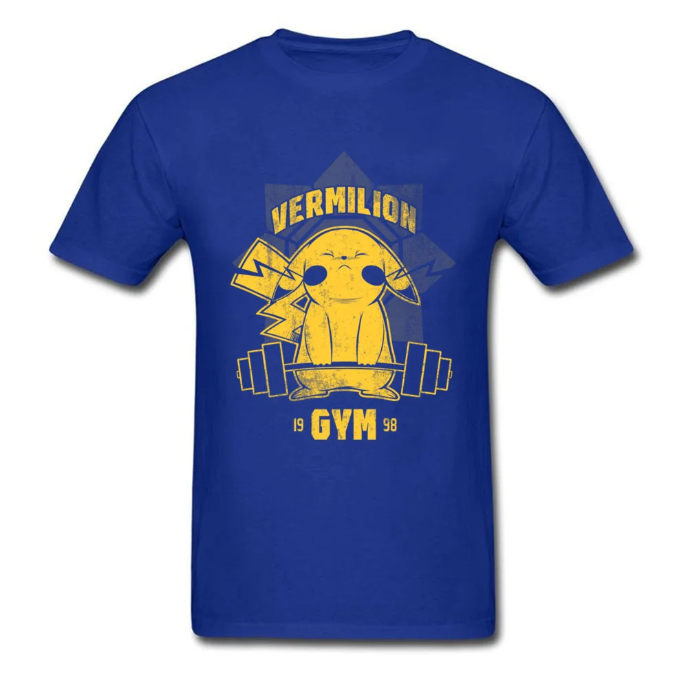 Vermilion Gym_blue