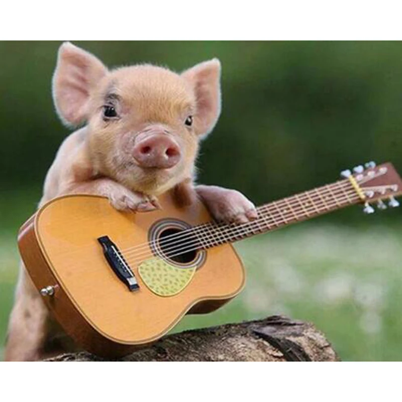 Diamond Painting Full drill square/round Guitar of a piglet Mosaic DIY