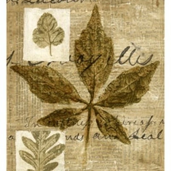 Leaf Collage III Poster Print by Kate Archie (13 x 19)