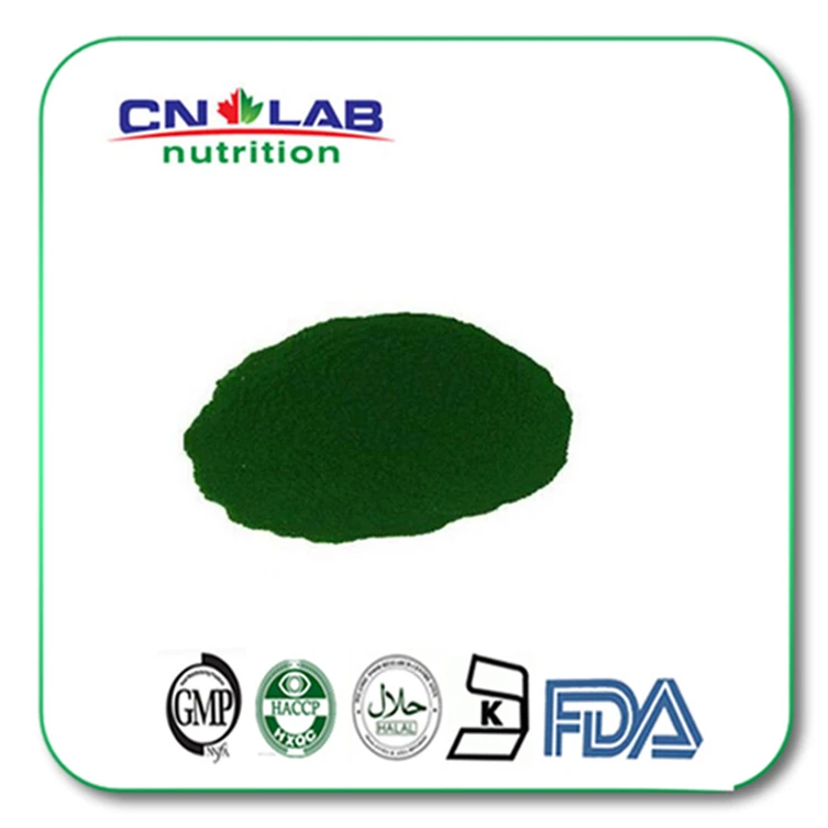 Spirulina Algae Powder/Green Algae Extract in High Qualitypowder