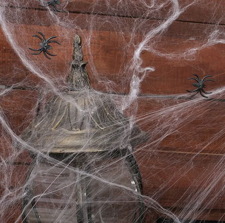 Halloween Spider  with Spiders Multi colored bing for Halloween