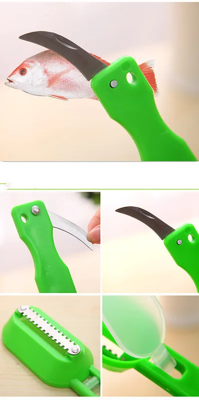 1774419636_1051487683