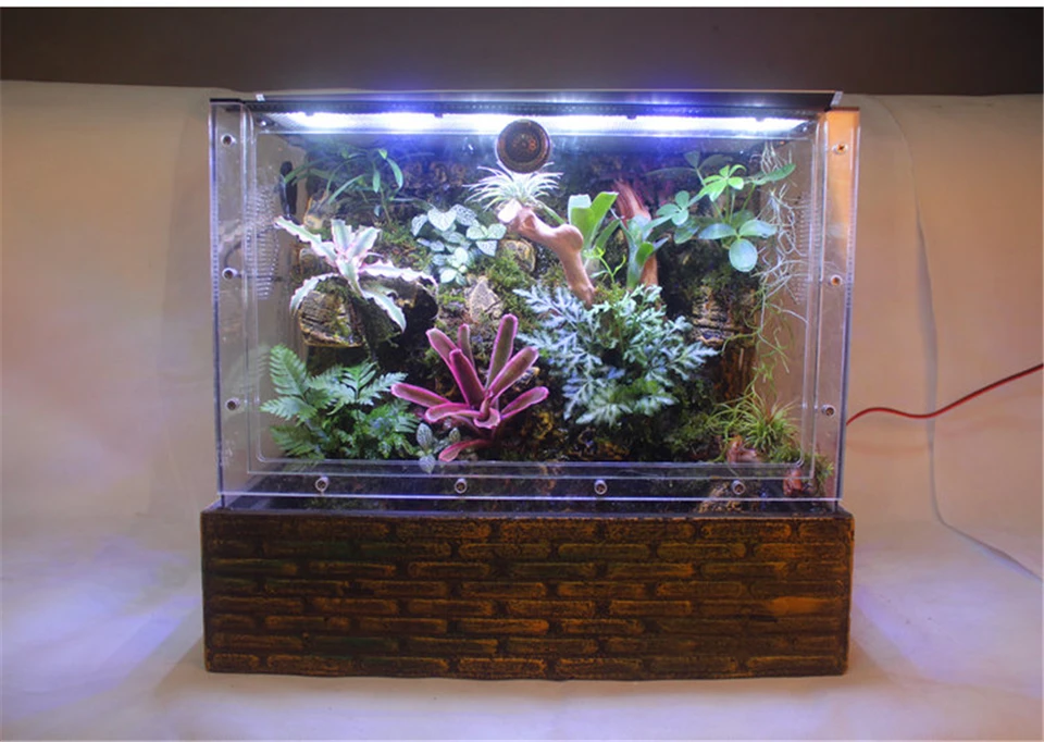 Rainforest Vivarium Kit Paludarium With Waterfall Background For