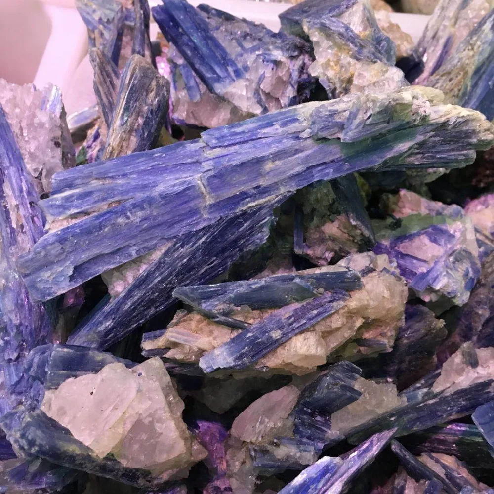 微信图片_201906121716261