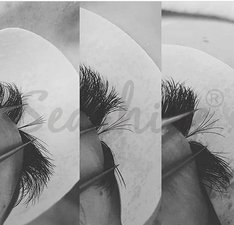 Ventole Di Volume Russe A 4 Vassoi Ventole Di Volume Prefabbricate Termosaldate Faux Mink Premade Volume Extension Ciglia Forniture