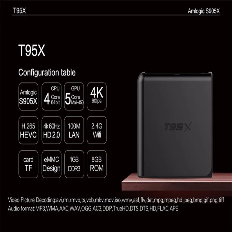 T95X 1G8G (18)