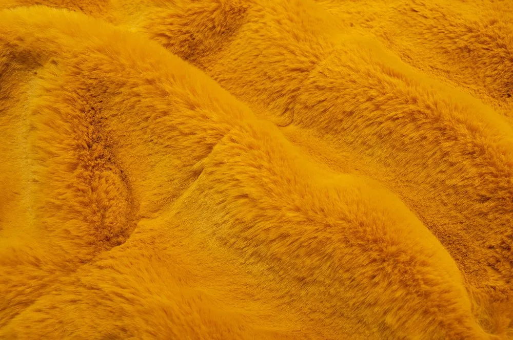 _DSC3531