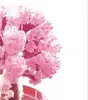 1PC 2022 90x80mm Magically Paper Sakura Crystal Trees Magic Growing Tree Japan Desktop Cherry Blossom Educational Toys Novelties ► Photo 3/6