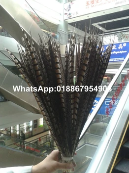 

100pcs Natural Brown Lady Amherst pheasant tails Side feather 50-60cm Chicken Tails