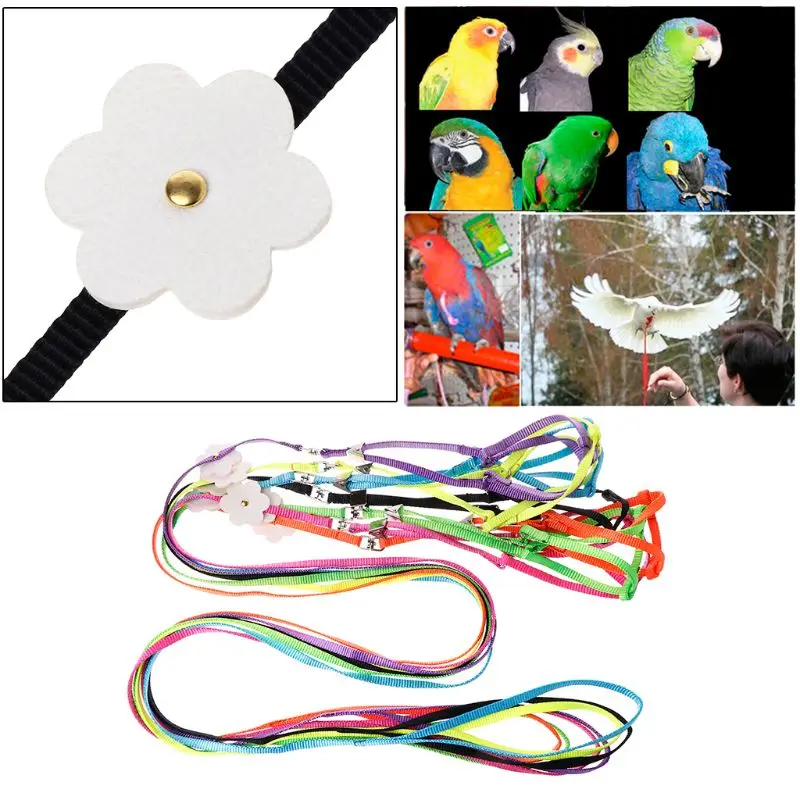 

Pet Harness Small Pets Parrot Bird Parakeet Leash Outdoor Adjustable Strap Training Rope Flying Cross Band Bird Behaviour Aids