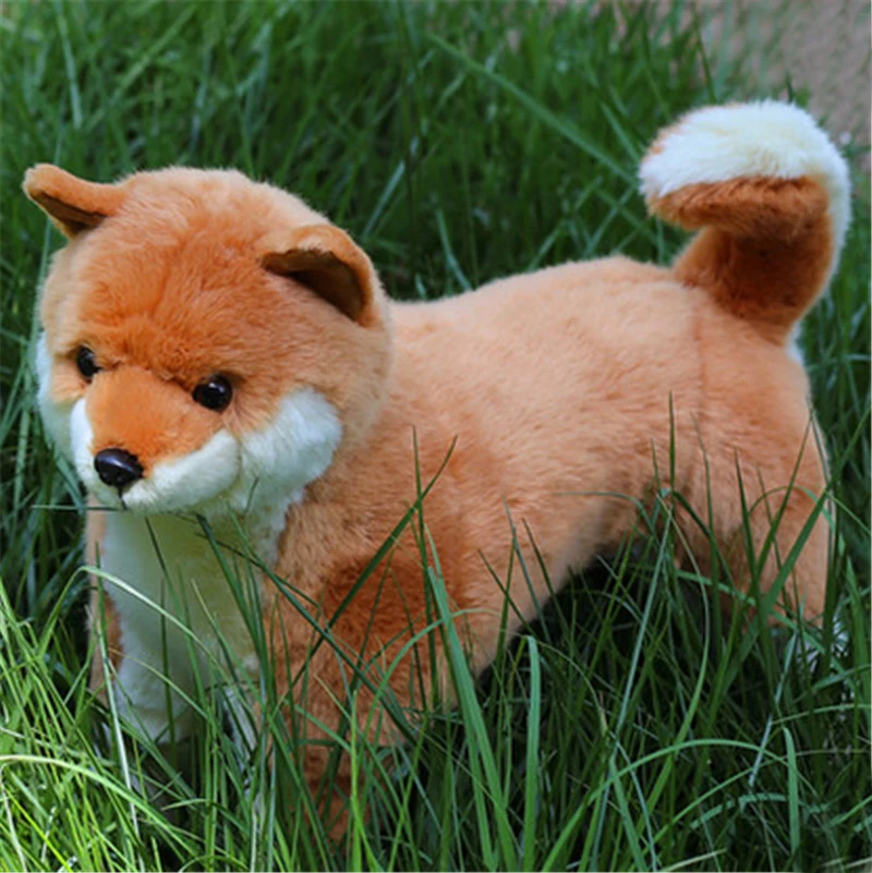 puppy dog3