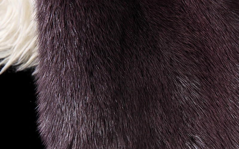  (12)