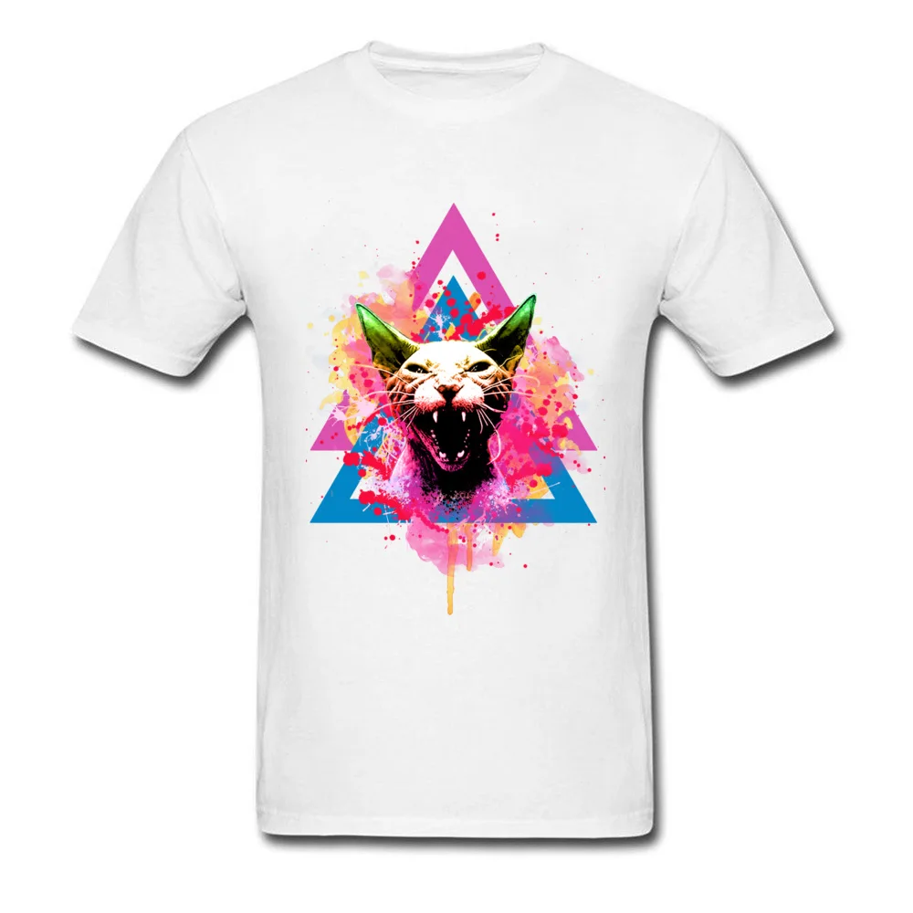 Angry Sphynx cat_white