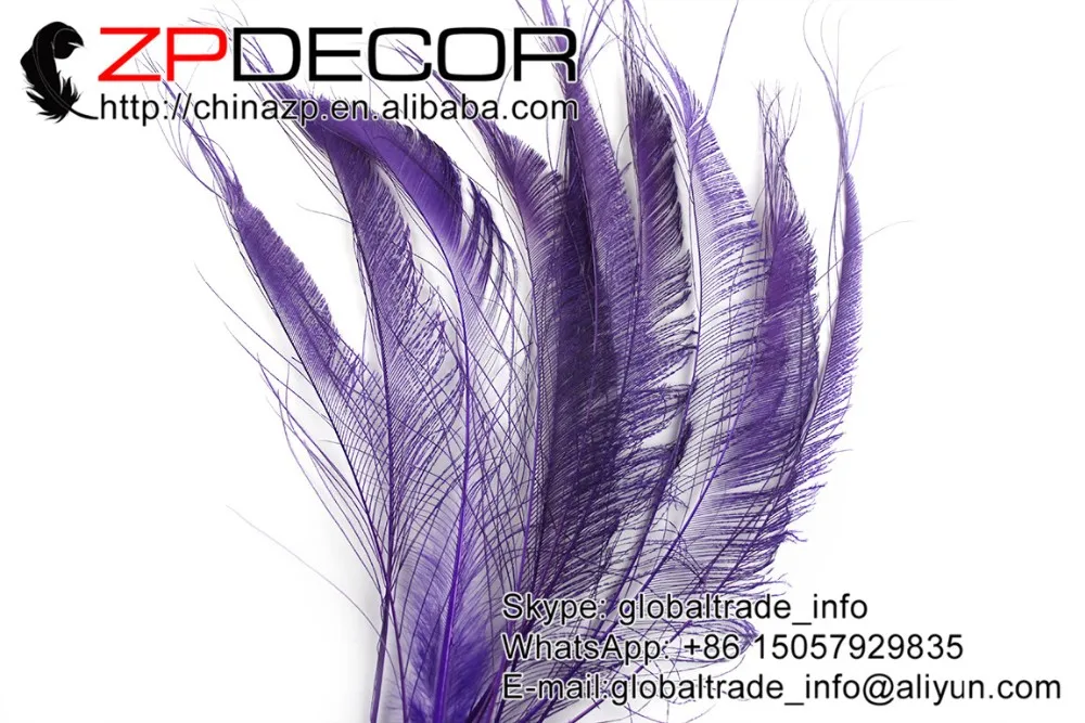 Purple peacock swords feathers  (1)