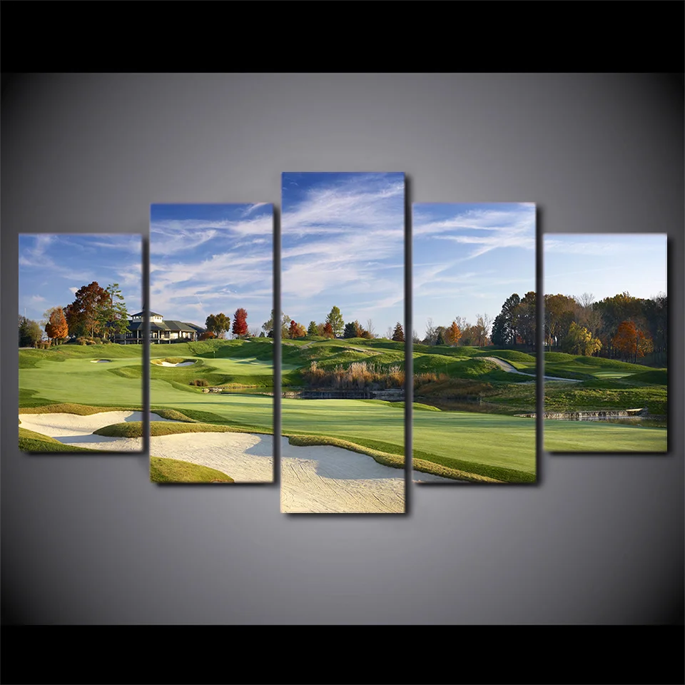 Картины распылители на холсте для игры в гольф 5 шт.|picture for living room|spray paintingwall art |