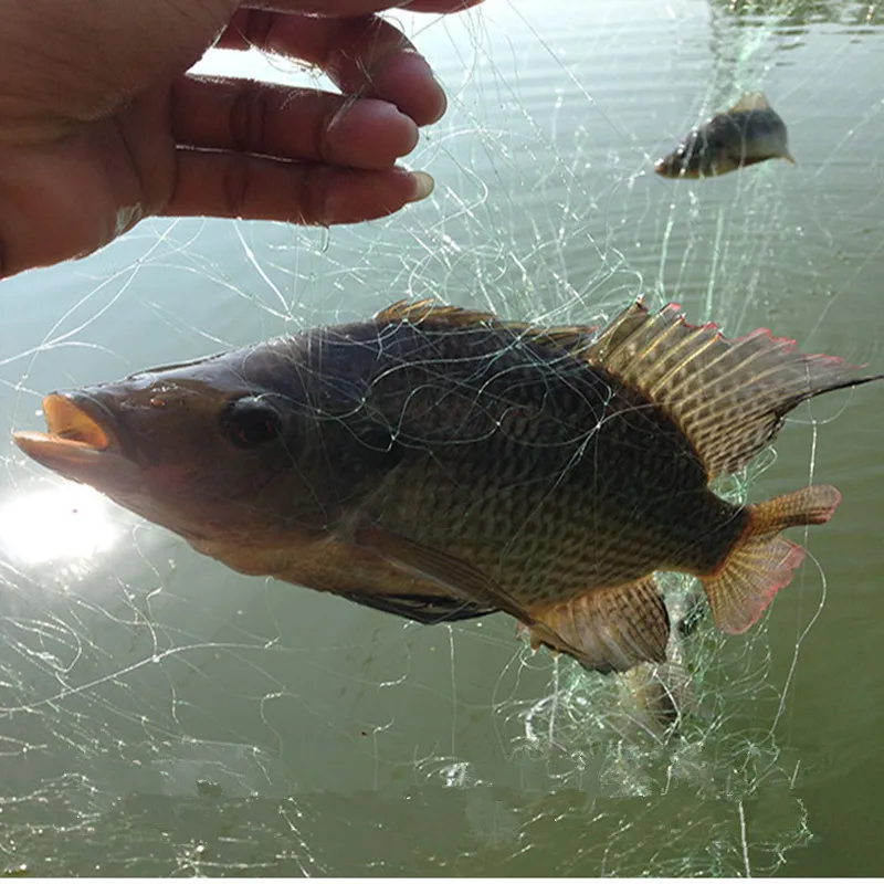 Centímetros de Malha Rede de Pesca Armadilha para Peixes Filet de Peche Rede de Nylon Rede de Emalhar Forte 3 Camada 2 Cm-7 Float Super H1.5m-2 m * L80m 10 Esporte e Lazer
