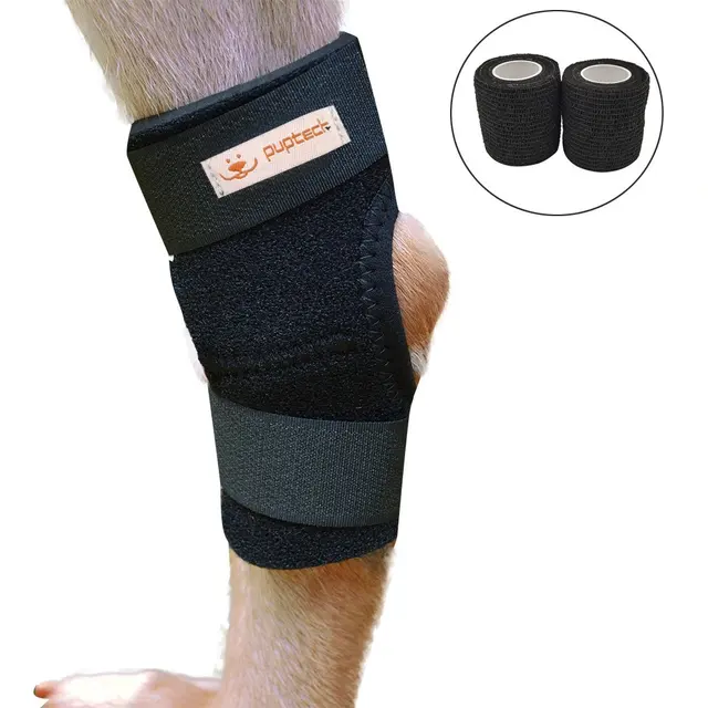 Knee Brace for Dogs Canine Rear Leg Hock Joint Protection with 2 Rolls