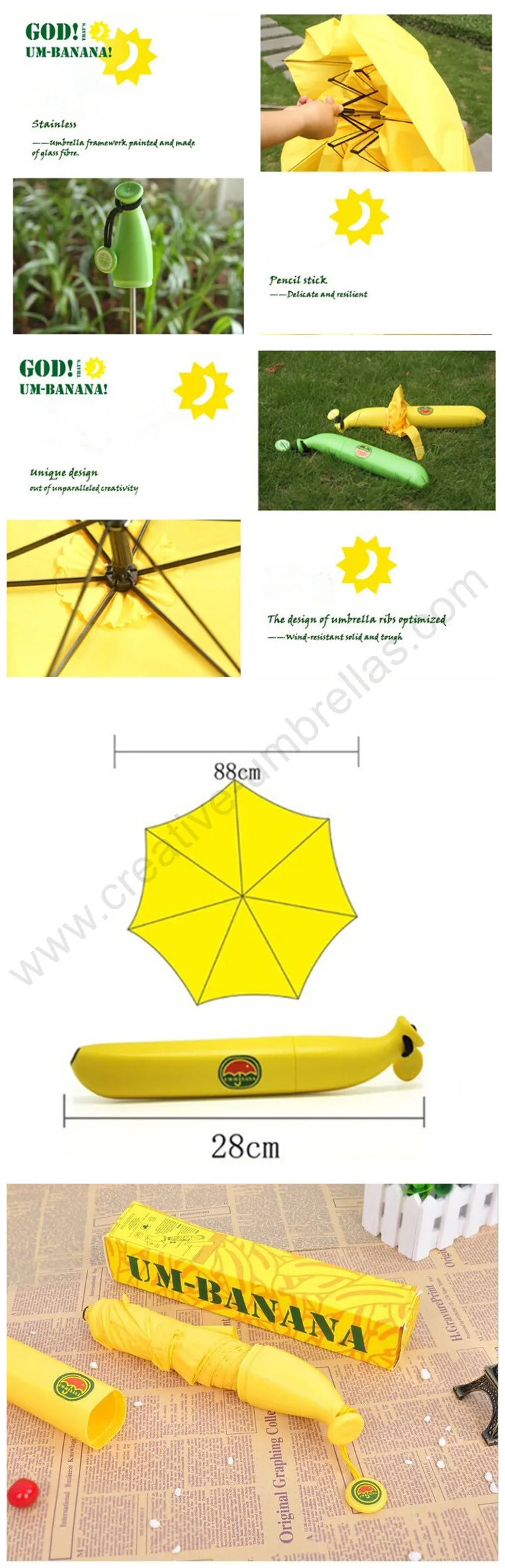 Umbrella
