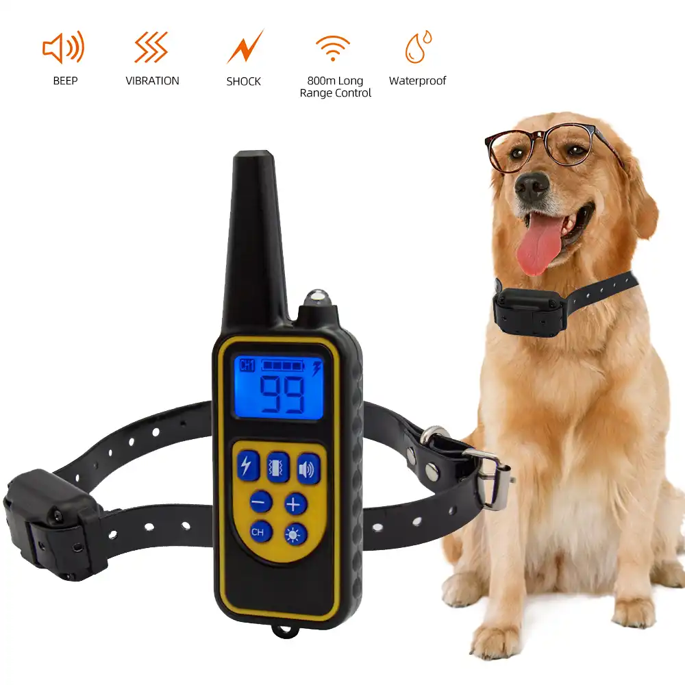 shock collar for golden retriever