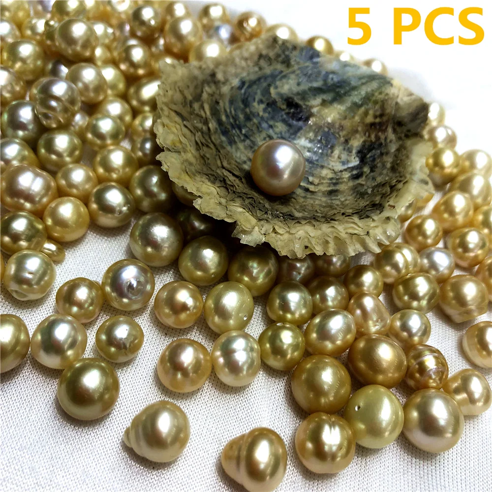 5 PCS The South Seas Pearl in akoya oyster shel With Grade A+ Seawater