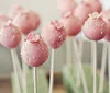 100 pcs Pop Sucker Sticks Chocolate Cake Lollipop Lolly Candy Making Mould White ► Photo 3/6