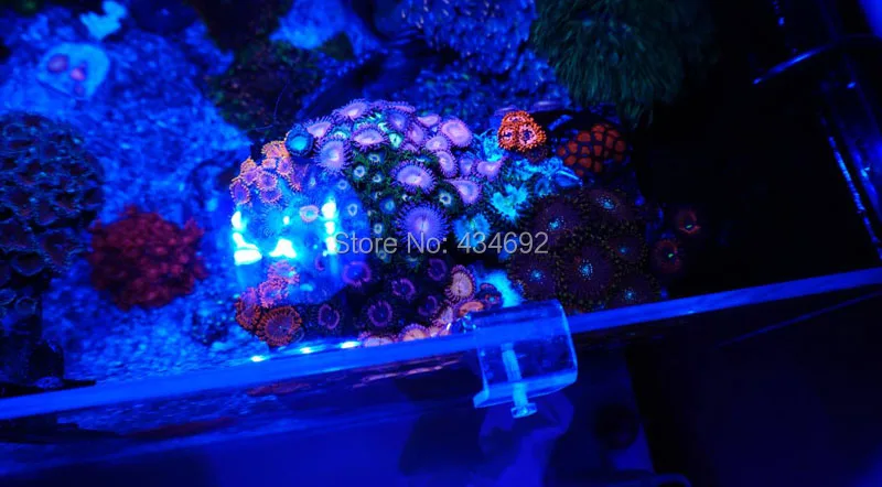 XR30 marine aquarium coral led light (7)