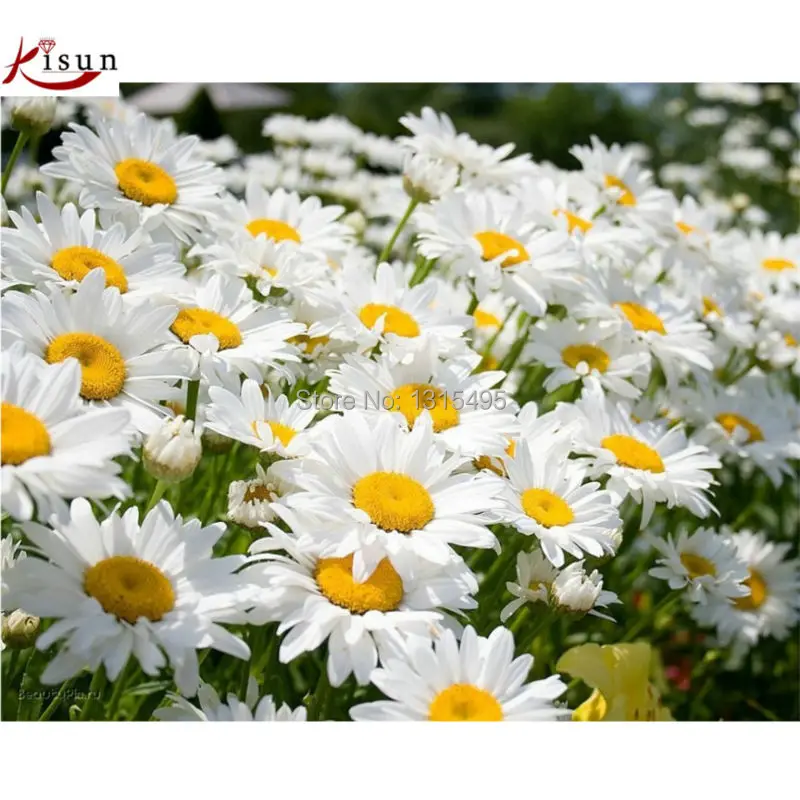 

Mosaic kit diy 5D diamond embroidery flowers mum painting bead cross stitch wall stickers needlework hobi philipe pleine C192