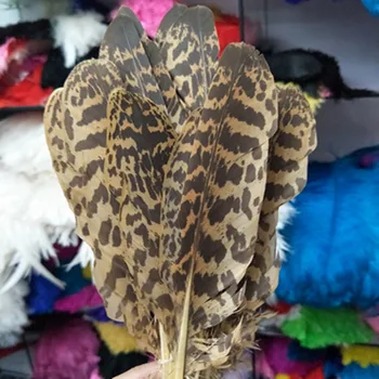 

wholesale high quality 44pcs Scarce Pattern natural eagle feather 15-25cm / 6-10 inch various decorative diy collect