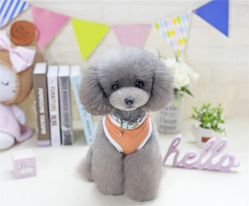 dog clothes summer vest (15)