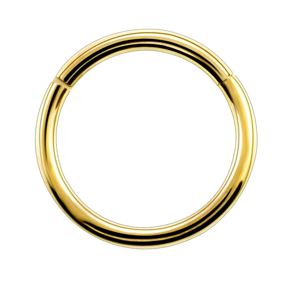 2 шт./лот G23 титана тонкий поддельный нос кольцо перегородка спиральная ноздри пирсинг Лабрет губы поддельные пирсинга хрящей поддельные серьги обруч - Окраска металла: Gold