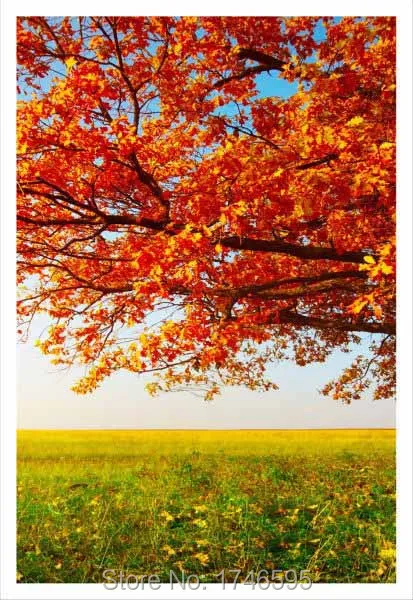 red tree-3