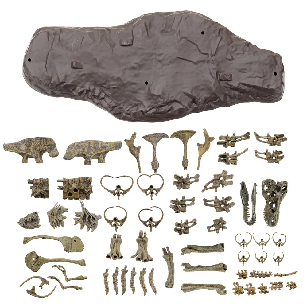 4D-28-70cm-PVC-Assembling-Skeleton-Dinosaur-Simulation-Animal-Model-Toys-Gifts-Children-Educational-Science-Toy (5)