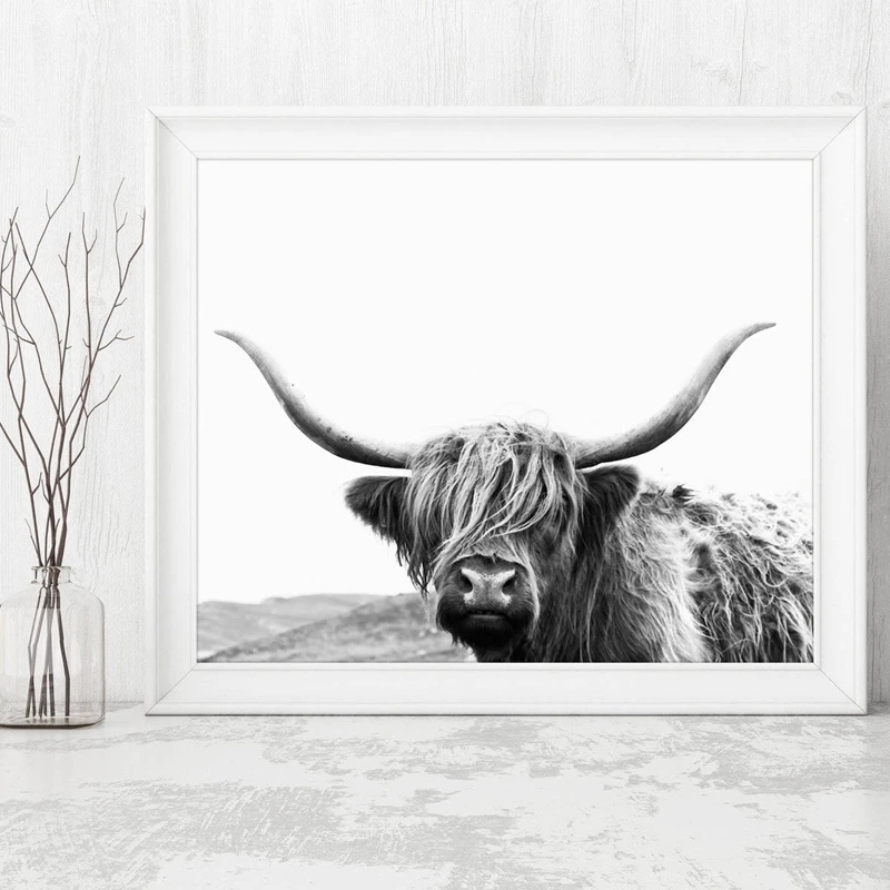 Highland корова холст Художественная печать и плакат ферма животные Bull фотография