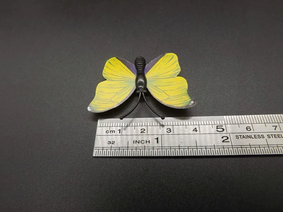 I259-Butterfly (12)