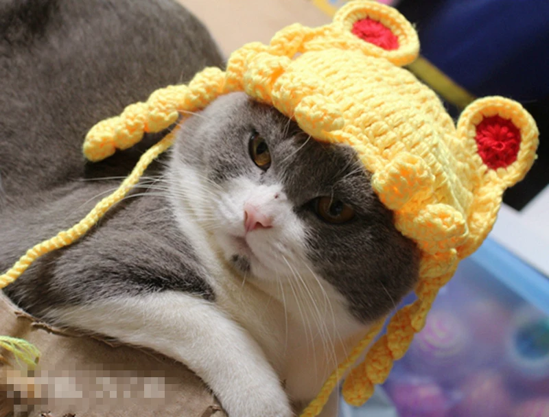 [MPK Store] Сейлор Мун кошка шляпа, восхитительный кошачий головной убор, 2 размера