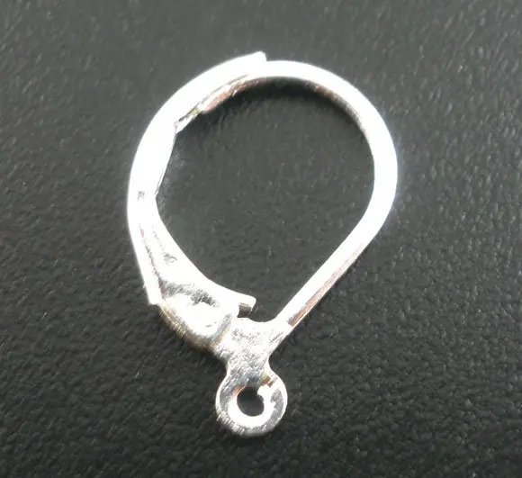 

Free shipping!!!!Silver Plated Lever Back Earring Wires 16x10mm