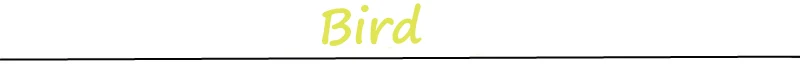 bird