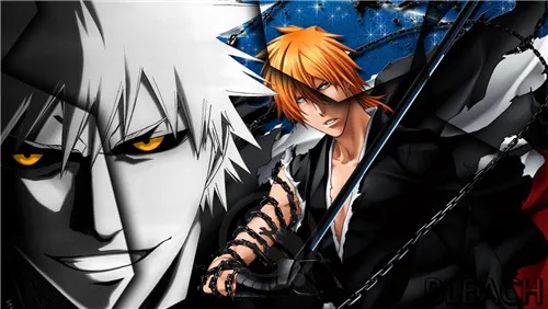 

BLEACH Poster Print Silk Fabric Print Poster Print Cloth Fabric Wall Poster Custom Satin Poster