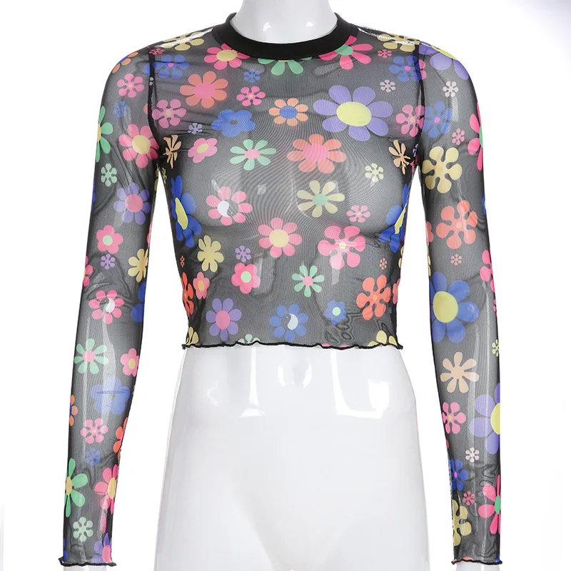 9956755198_1045645777