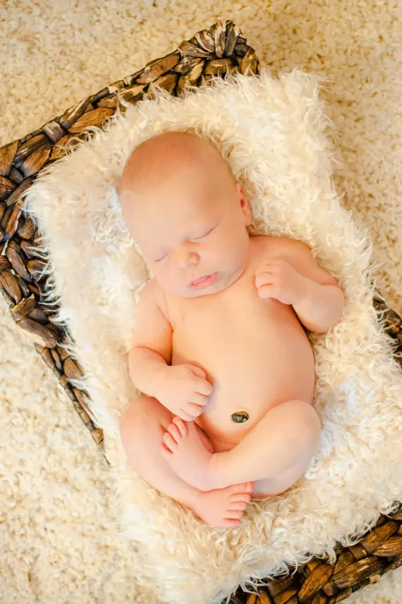 3140221769_329263535