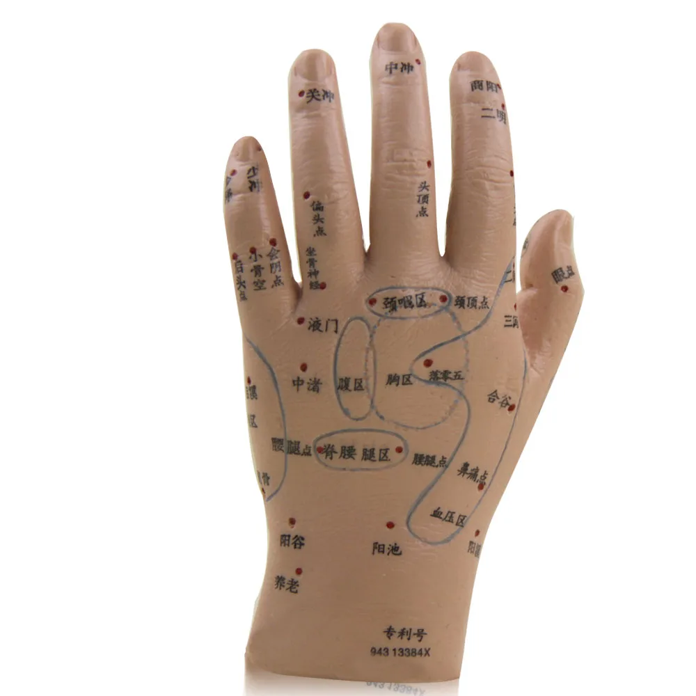 

hand Acupuncture point massage Hand reflex zone model 15.5*8cm free shipping